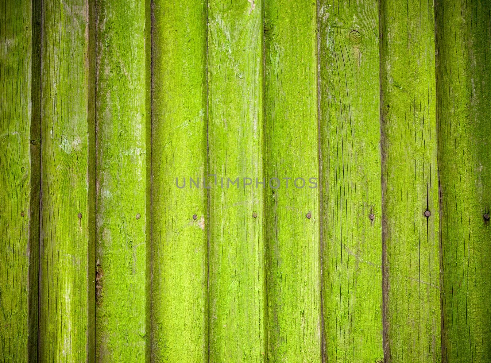 Old mossy wooden background texture