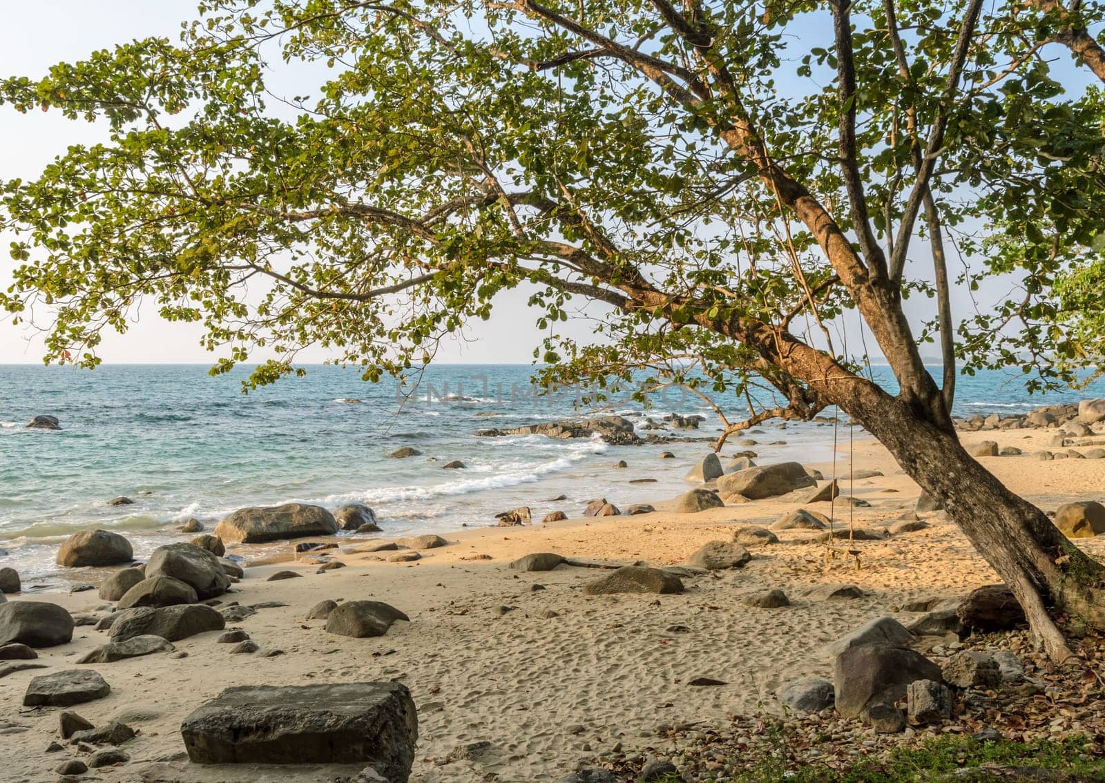 Rock shore beach with wooden swing hanging on big tree at Khao Lak in Phang nga province, Thailand