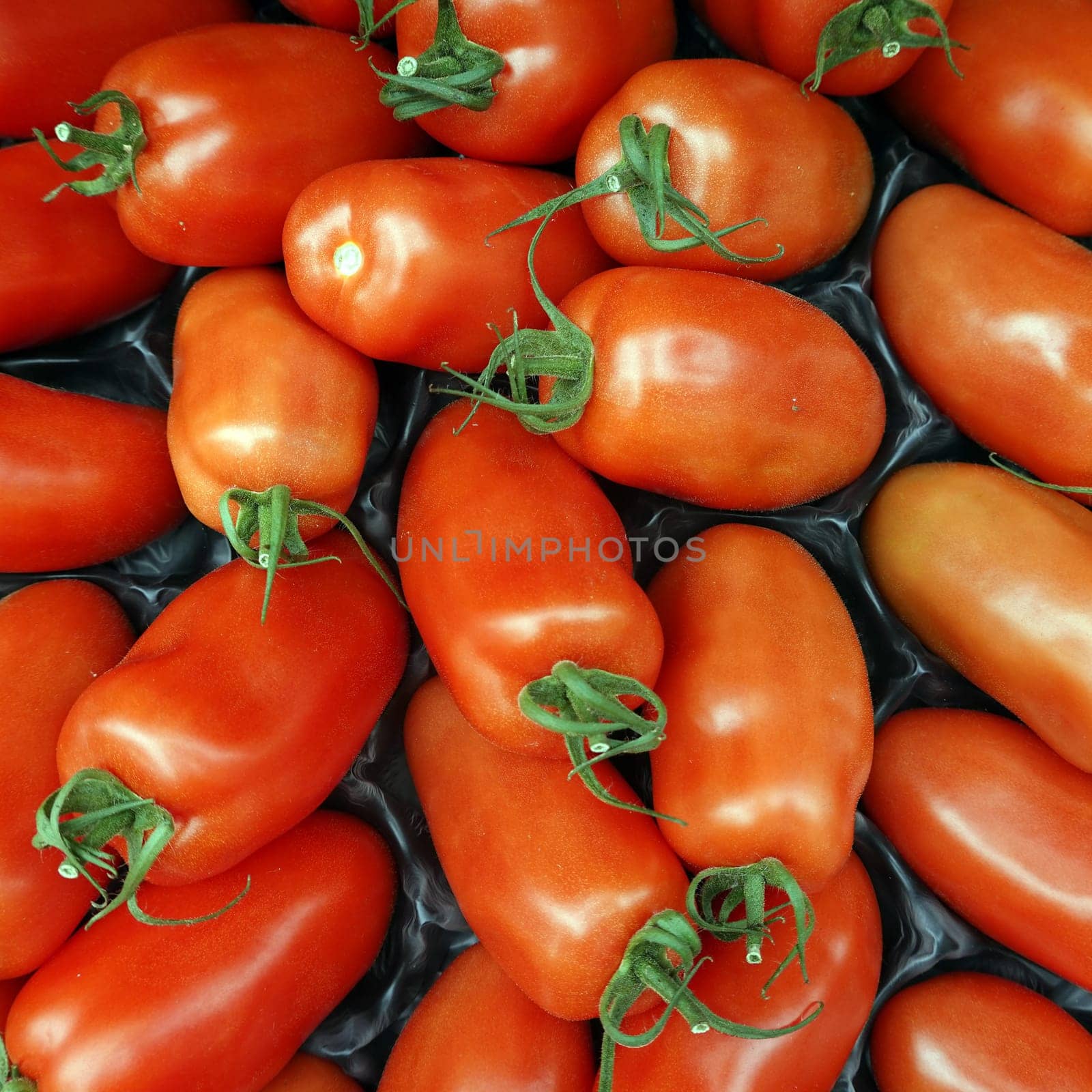 Tomaten (Solanum lycopersicum) im Gemüsegeschäft