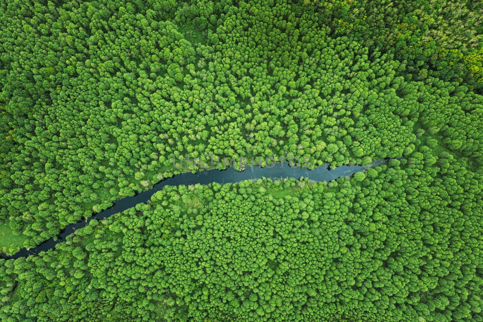 Elevated View Of Green Small Bog Marsh Swamp River Wetland And Green Forest Landscape In Summer Day. Attitude View. Forest In Bird's Eye View.