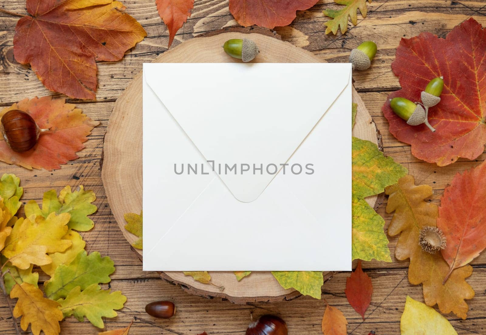 Blank square envelope between colorful autumn leaves and berries on wooden table top view, rustic mockup, flat lay, copy space. Thanksgiving, halloween or harvest concept