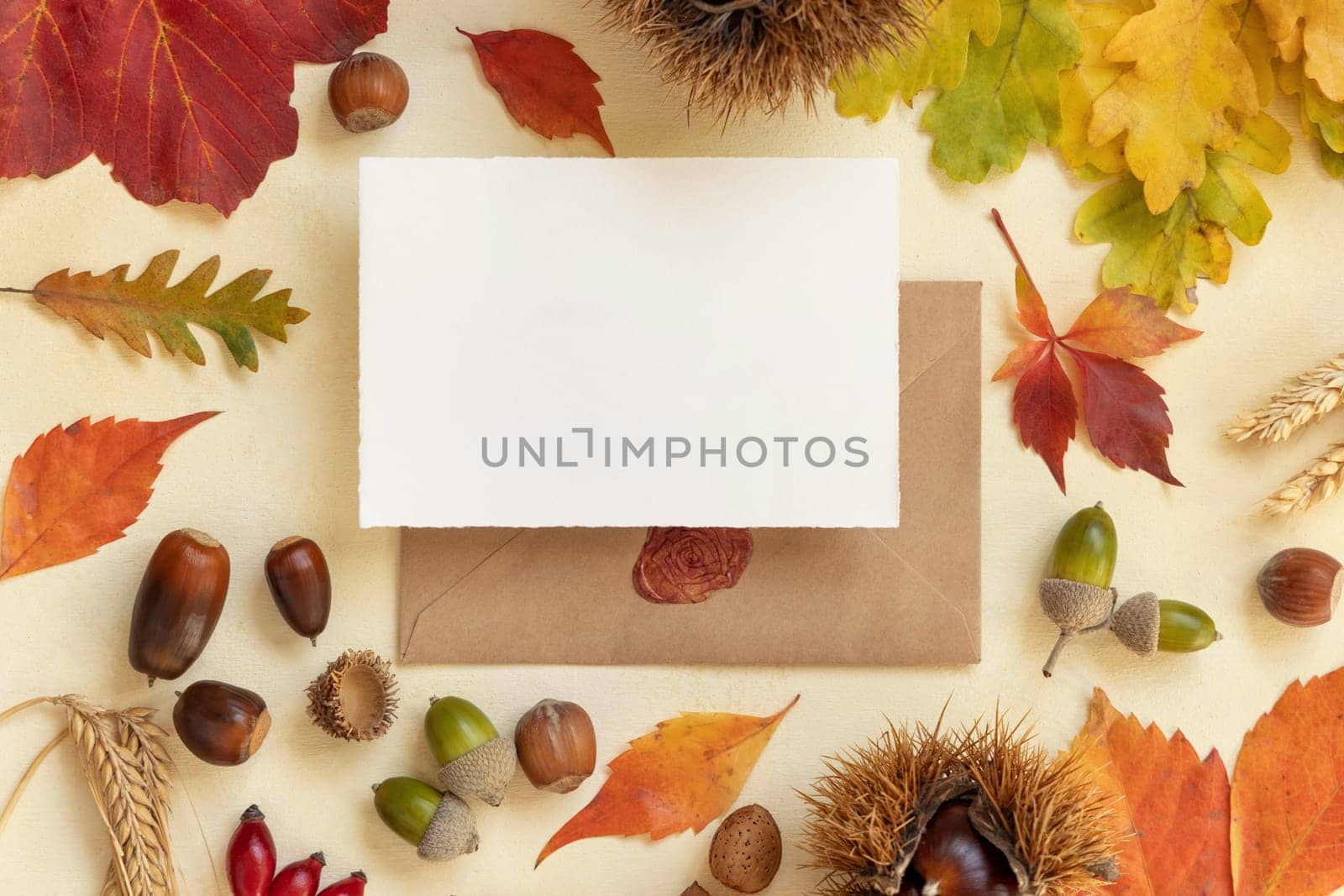 Blank card between colorful autumn leaves and berries on light yellow table top view, rustic mockup. Horizontal card over envelope, flat lay, copy space. Thanksgiving, halloween or harvest concept
