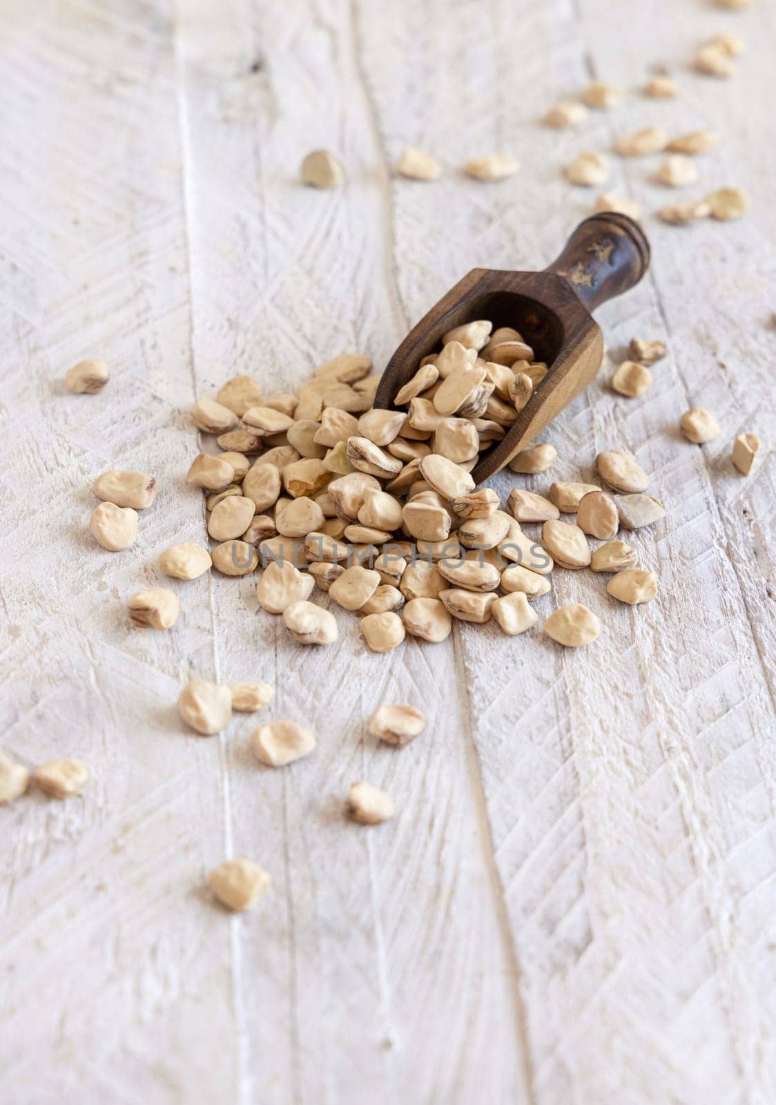 Scoop of raw dry Grass pea close up on wood. Healthy, protein source for vegan and vegetarian diet. Traditional Italian apulian cuisine ingredient. Legumes known as Cicerchia, Vetch, Blue Sweet Pea