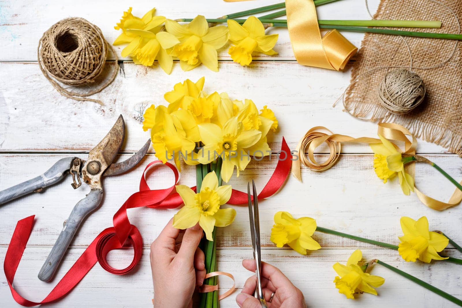 Top view of florist hands making flower bouquet with narcissus and decorative ribbon.