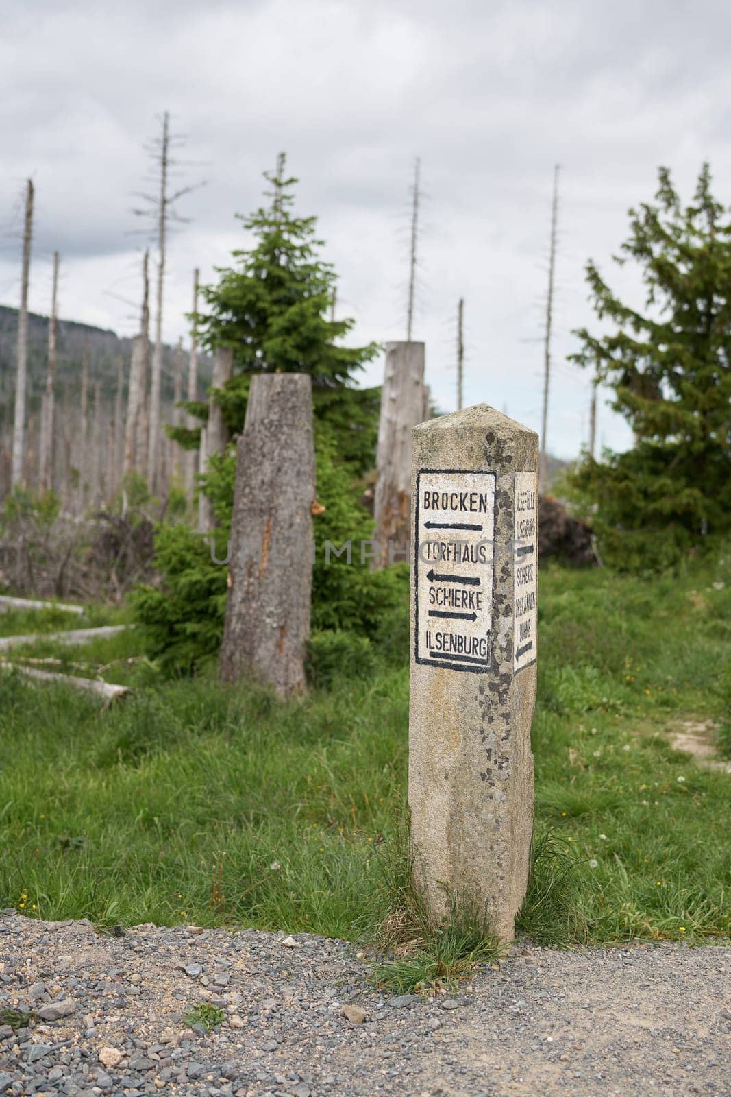 Stone signpost in the Harz National Park in Germany with directions to Torfhaus, Ilsenburg, Ilse waterfalls, and the Brocken summit