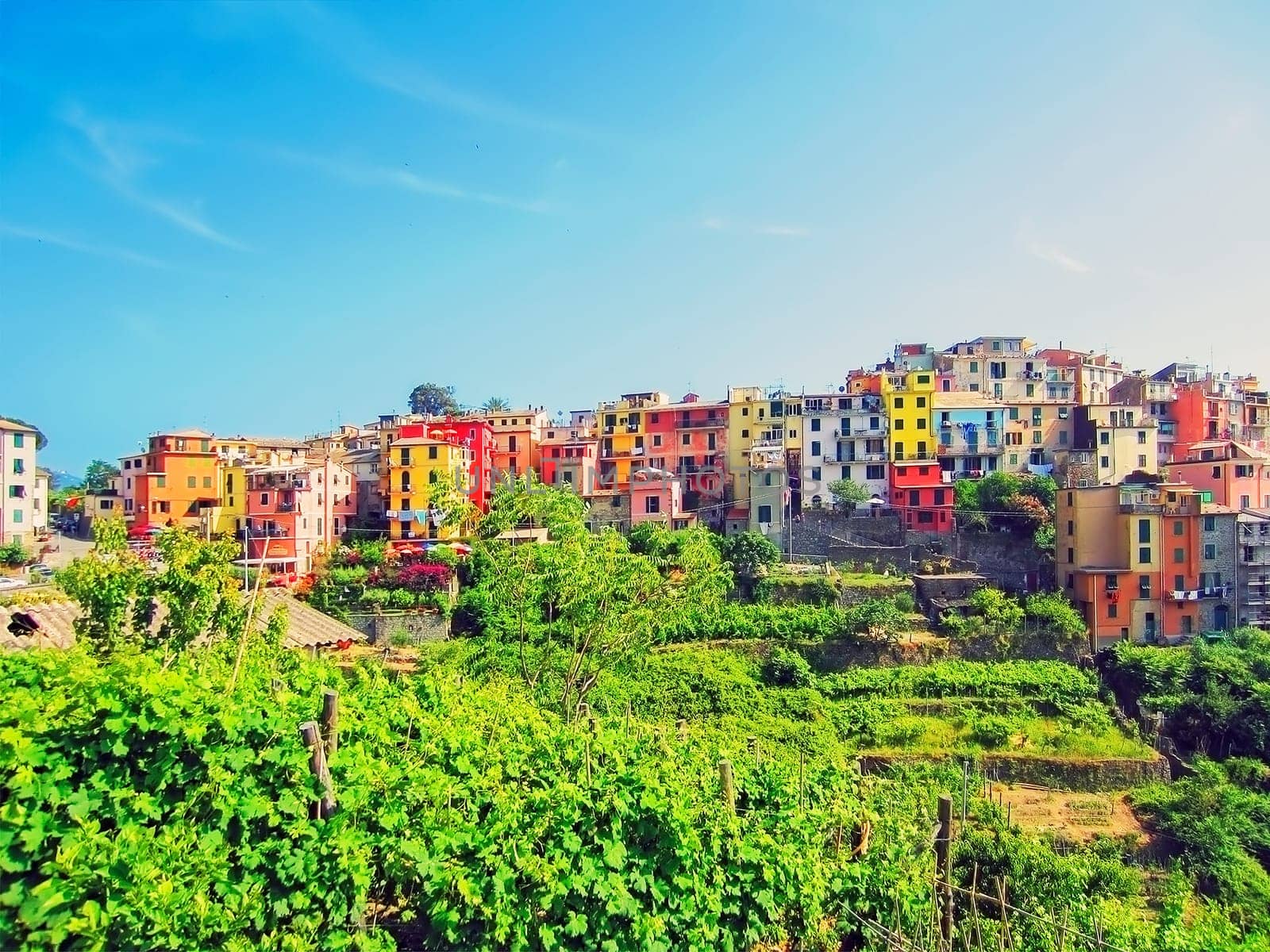 Village Corniglia on Italian Coast