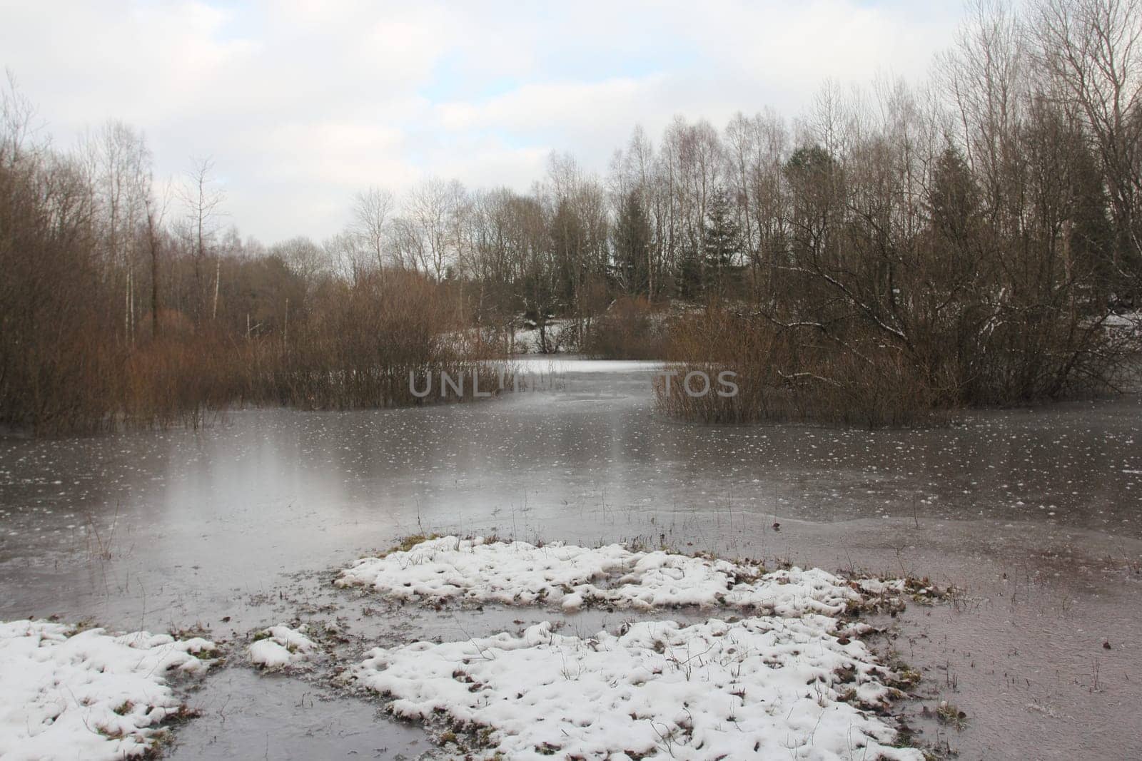 Detail view of a small romantic lake, with trees.Detailansicht von einem kleinen romantischen See, mit Baumbestand.