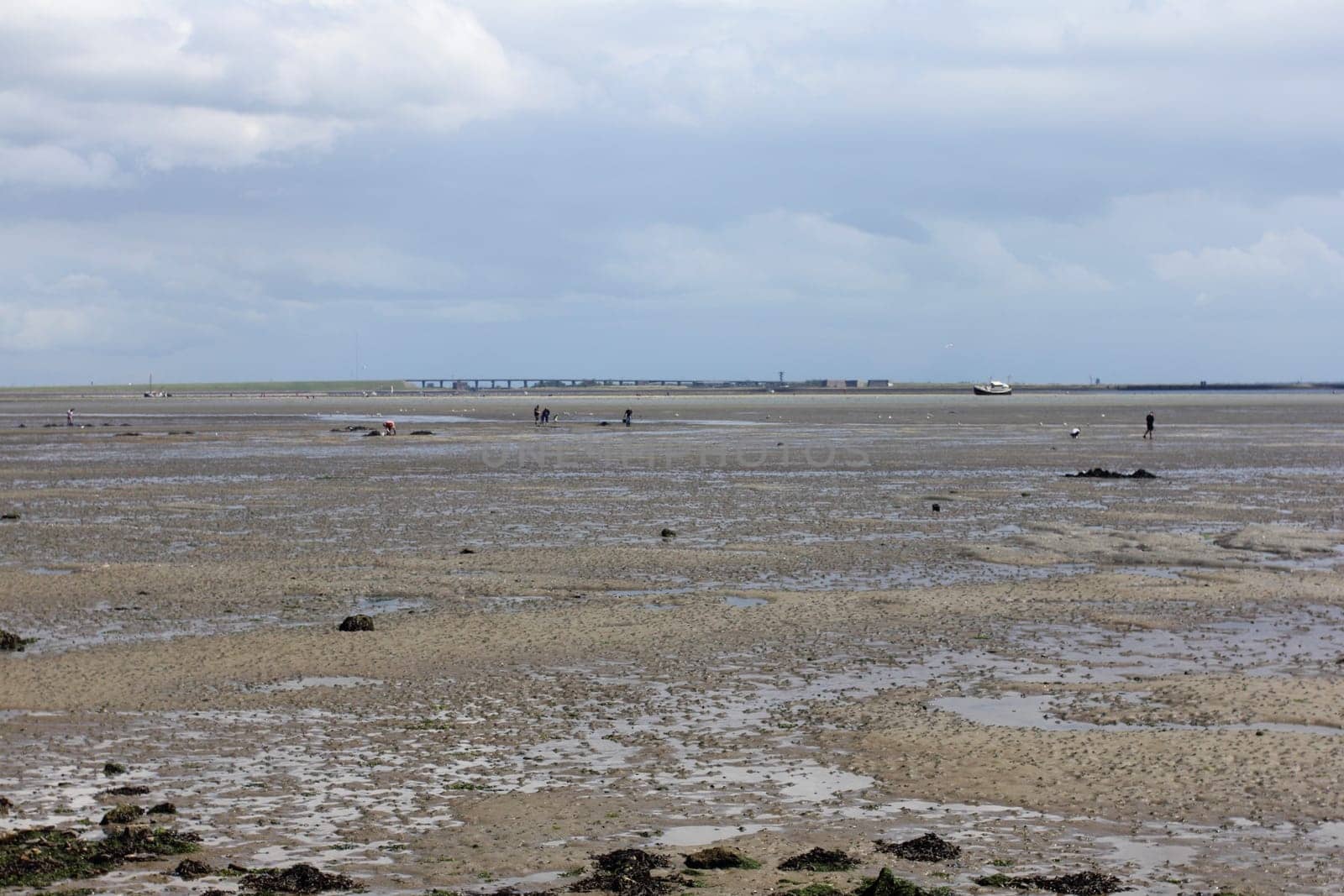 Wadden Sea during the low tide, lower water at the North Sea coast in summer.Watt bei der Ebbe, Niedrigwasser an der Nordseeküste im Sommer..