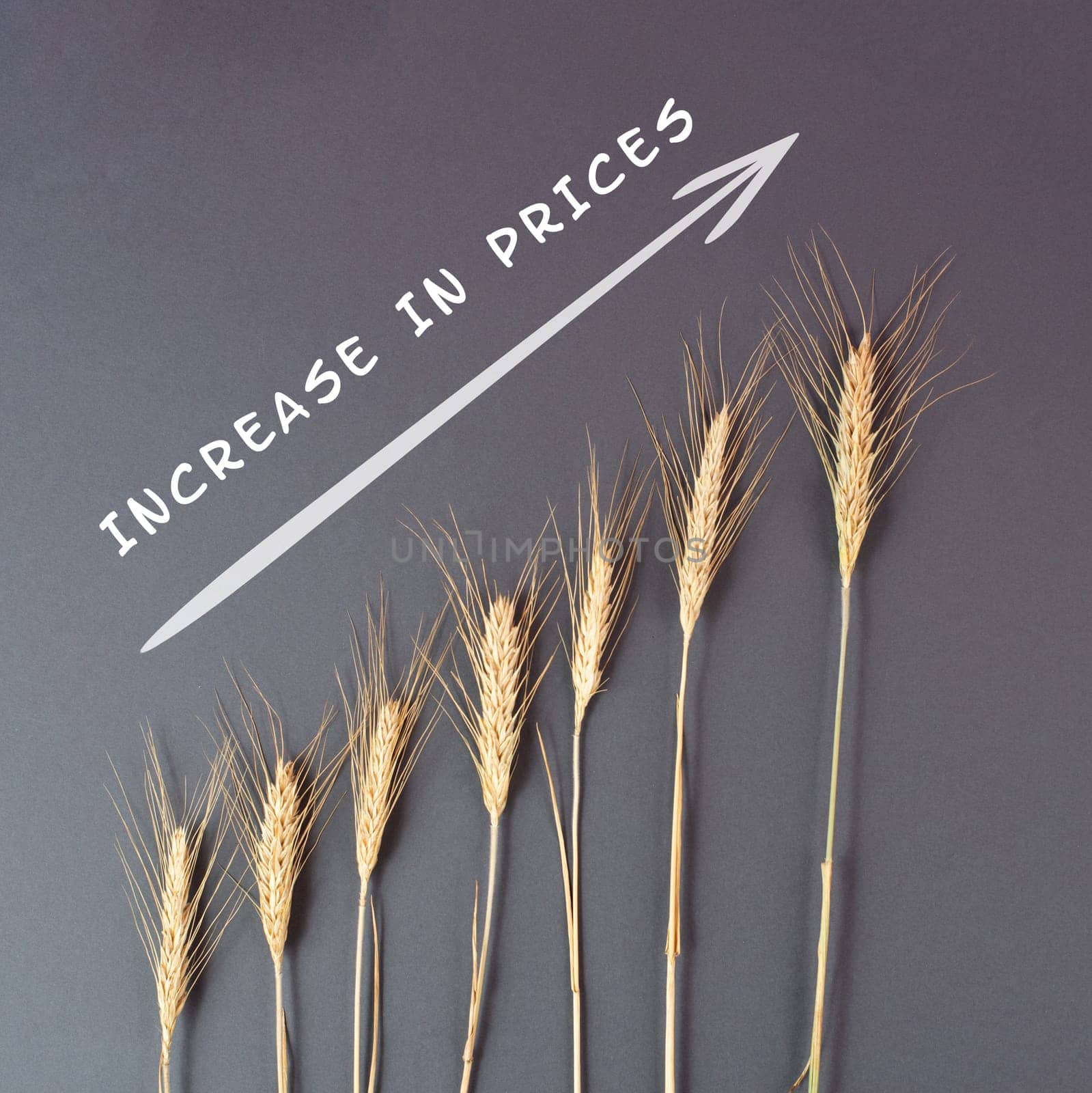 Food crisis with increasing prices and shortages, wheat ears on a brown background, supply chain problems, inflation causes high living costs