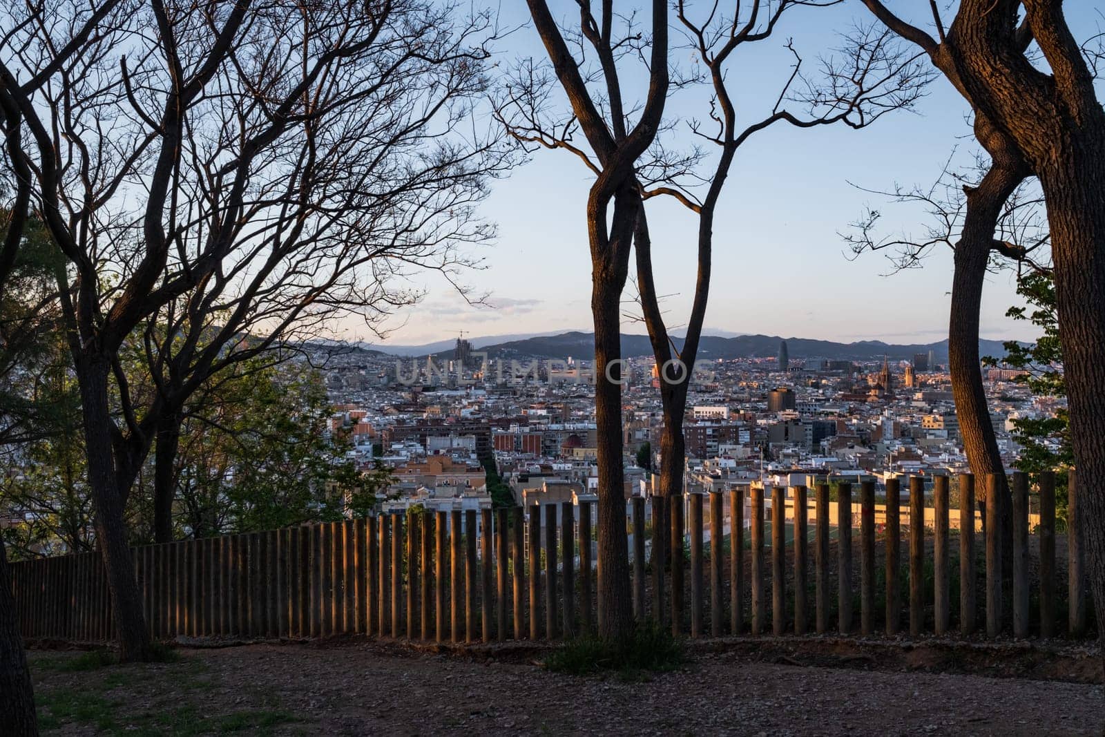 Barcelona, Spain: a spring view of the city from Montjuïc hill. Trees in the park and a wooden fence frame the image of the city in the background at sunset.