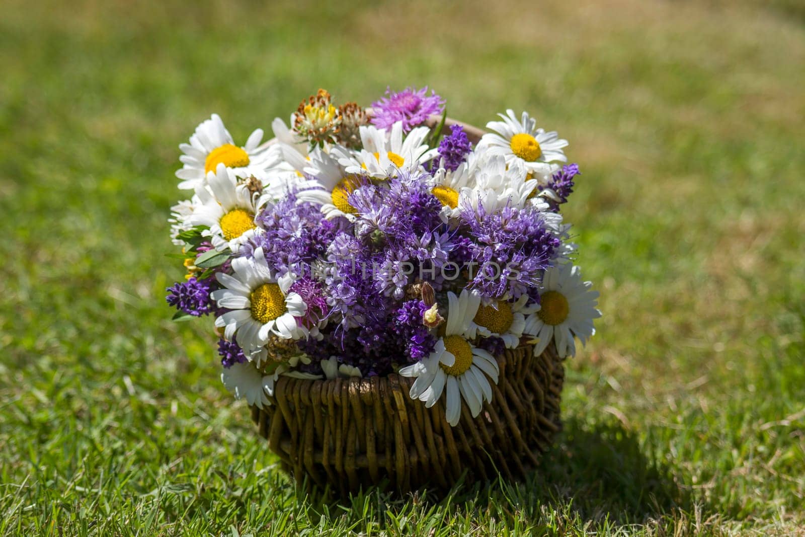 wildflowers in a basket - summertime