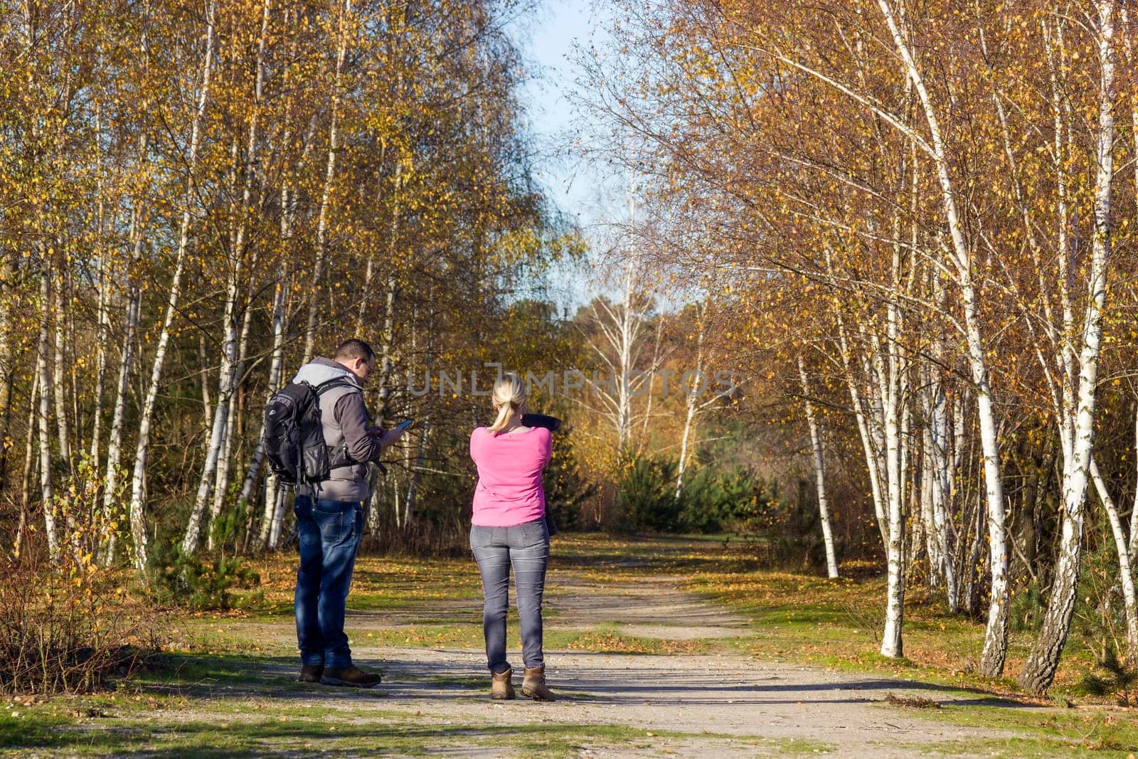 National Park Maasduinen in the Netherlands - people in the birch alley