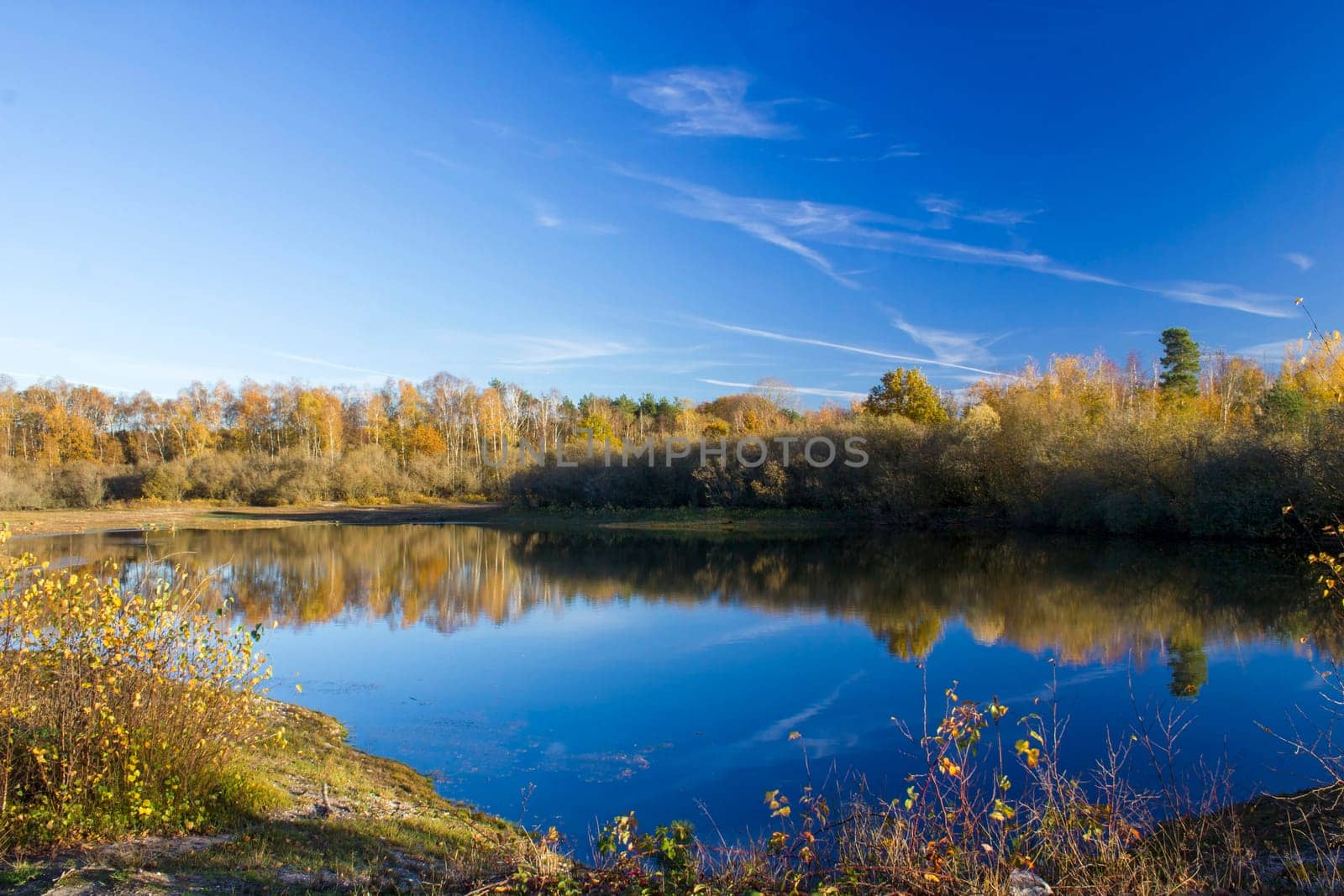 Landscape in the National Park Maasduinen in the Netherlands