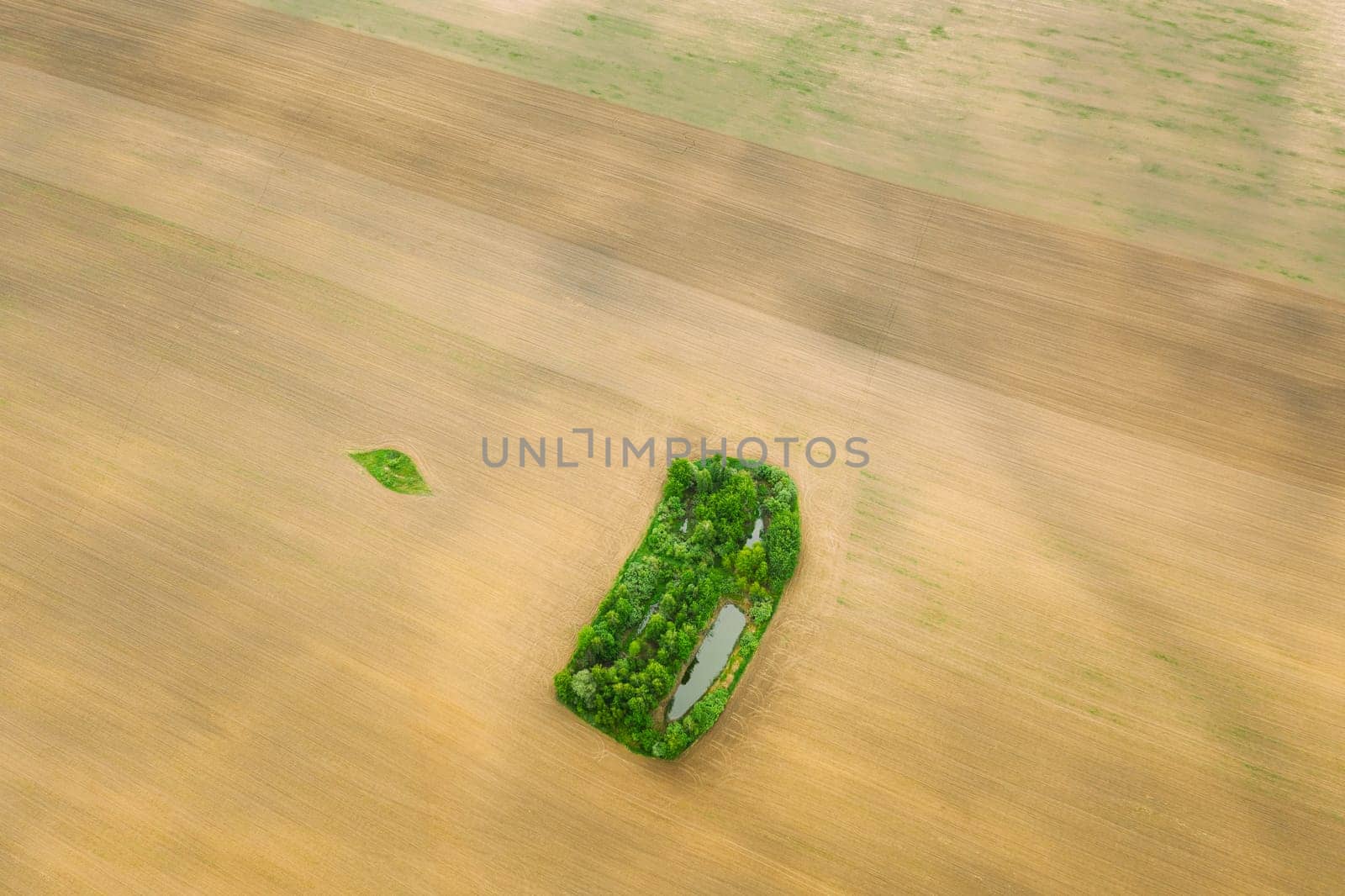 Small Green Natural Island With Green Grass, Forest And Small Pond In Spring Empty Rural Field Landscape. Agricultural Field. Aerial View.