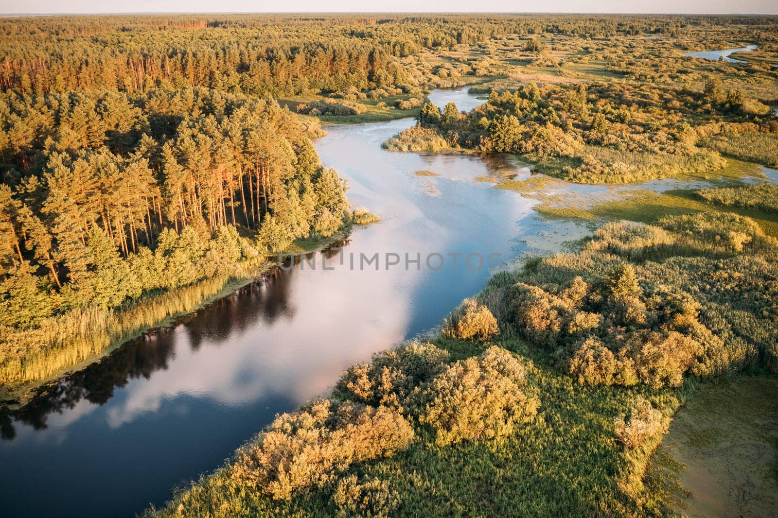 Belarus. Aerial Elevated View Of Green Forest Growth On River Coast Landscape In Sunny Summer Evening.