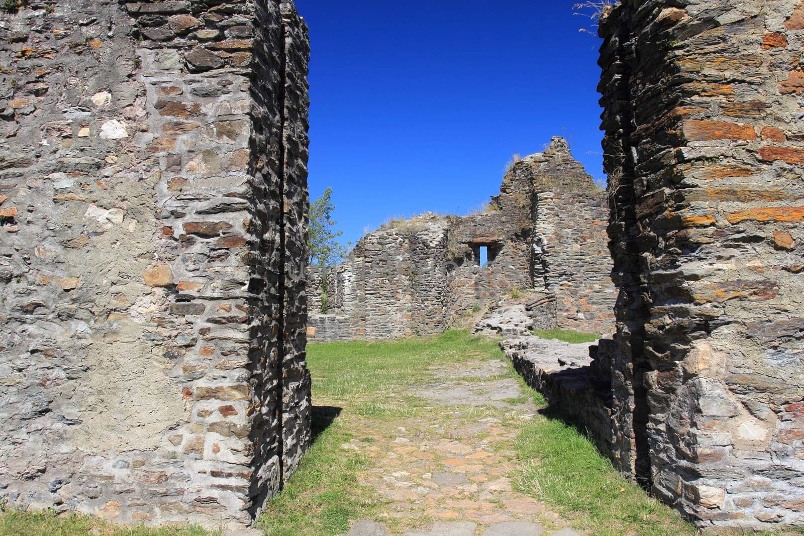 The Castle Baldenau is the ruins of a moated castle in Morbach.Die Burg Baldenau ist die Ruine einer Wasserburg bei Morbach .