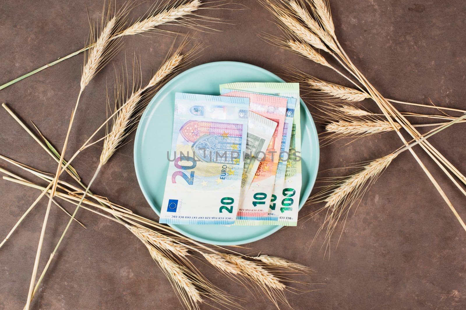 Plate with wheat and Euro banknotes, food shortage and increasing prices, poverty through inflation