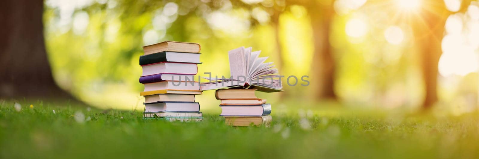 Stacks of the different books are on the green grass in the park. Concept of the learning, reading, studying and back to school.