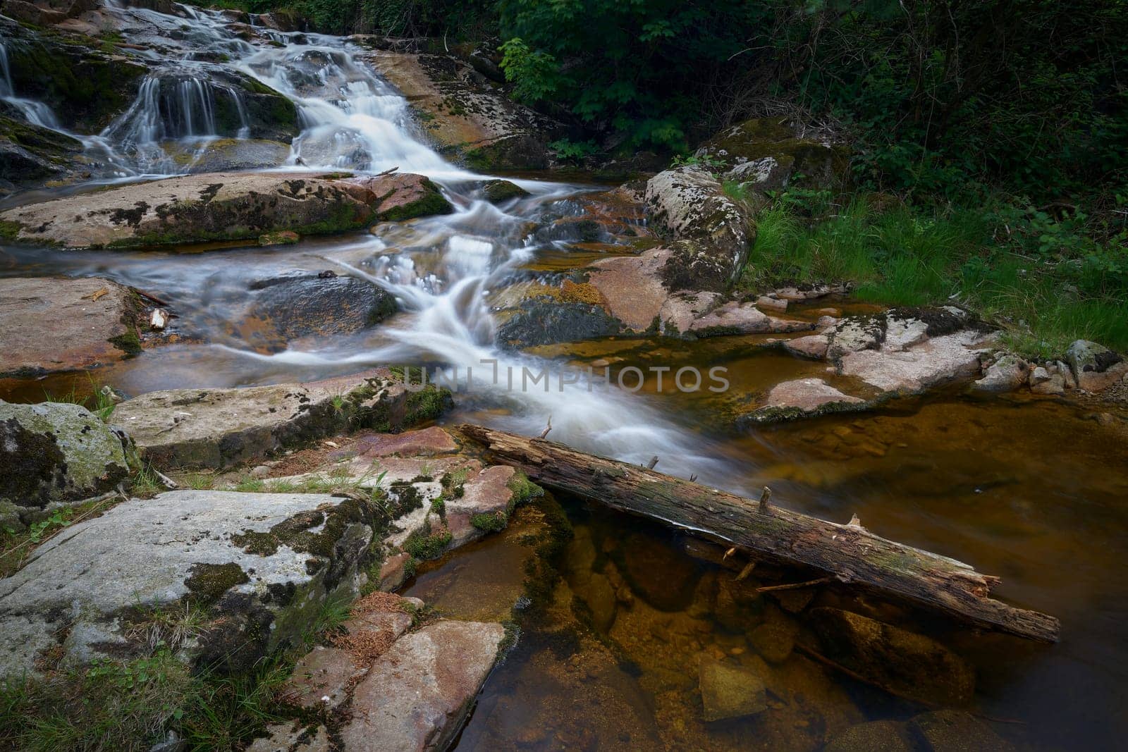 the romantic river Ilse near Ilsenburg at the foot of the Brocken in the Harz National Park in Germany