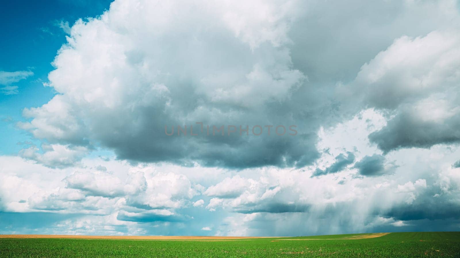 Amazing Natural Bright Dramatic Sky With Rain Clouds Above Countryside Rural Field Meadow Landscape In Spring Summer Cloudy Day. Scenic Sky With Fluffy Clouds On Horizon. Beauty In Nature.