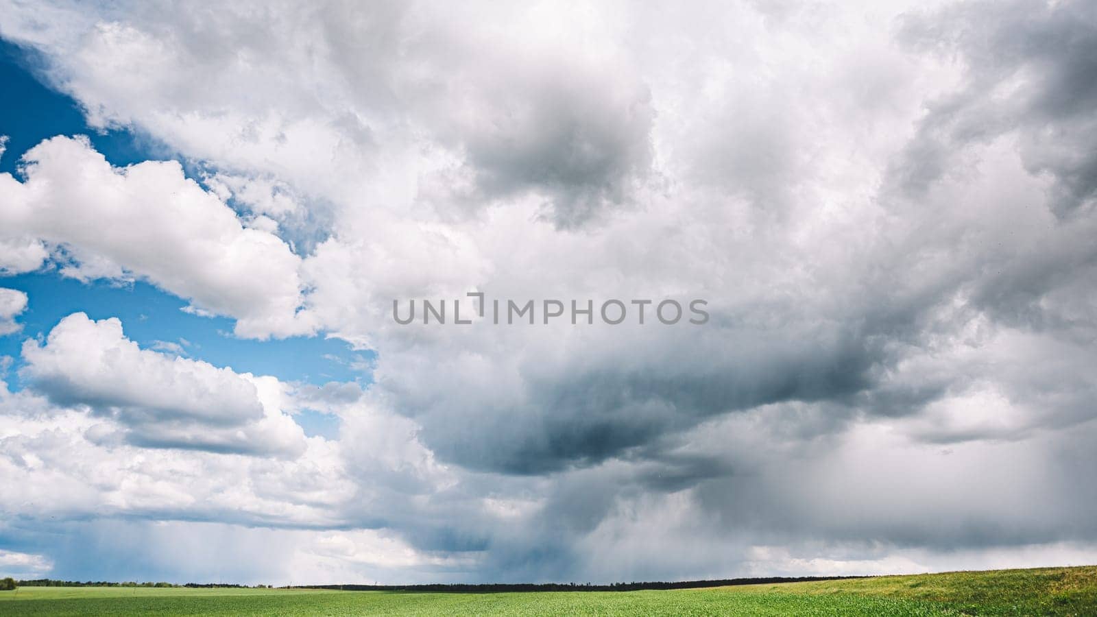 Countryside Rural Wheat Field Meadow Landscape In Summer Rainy Day. Scenic Sky With Rain Clouds On Horizon. Agricultural And Weather Forecast Concept.