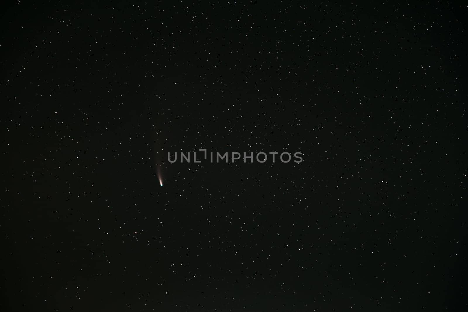 Comet Neowise C2020F3 In Night Starry Sky. Natural Night Sky Background.
