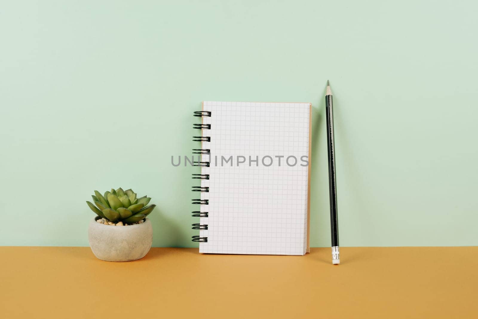 Empty notebook with a pen, eyeglasses and a cactus on an autumn colored background, brainstorming for new ideas, writing a message, taking a break, home office desk