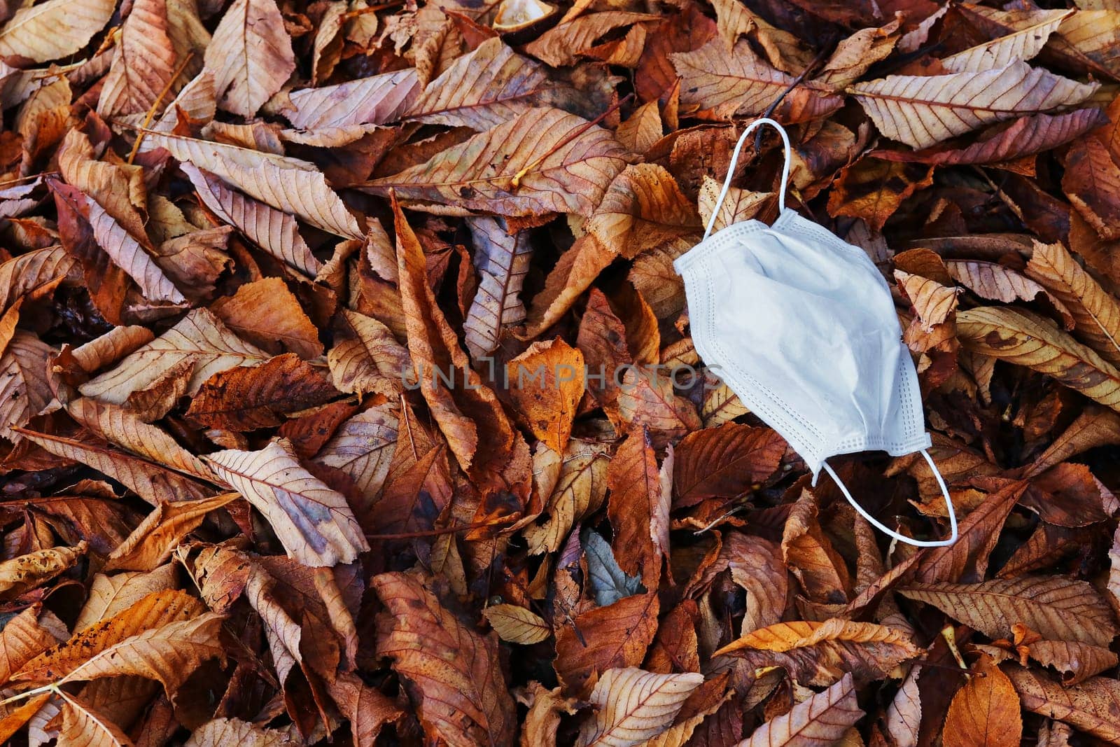 Threatens a new Corona wave in the fall. A protective mask on autumn leaves