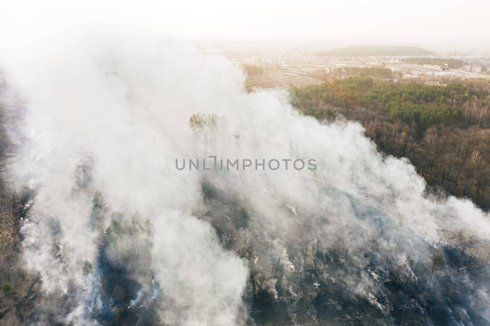 Aerial View. Spring Dry Grass Burns During Drought Hot Weather. Bush Fire And Smoke In Meadow Field. Wild Open Fire Destroys Grass. Nature In Danger. Ecological Problem Air Pollution. Natural Disaster