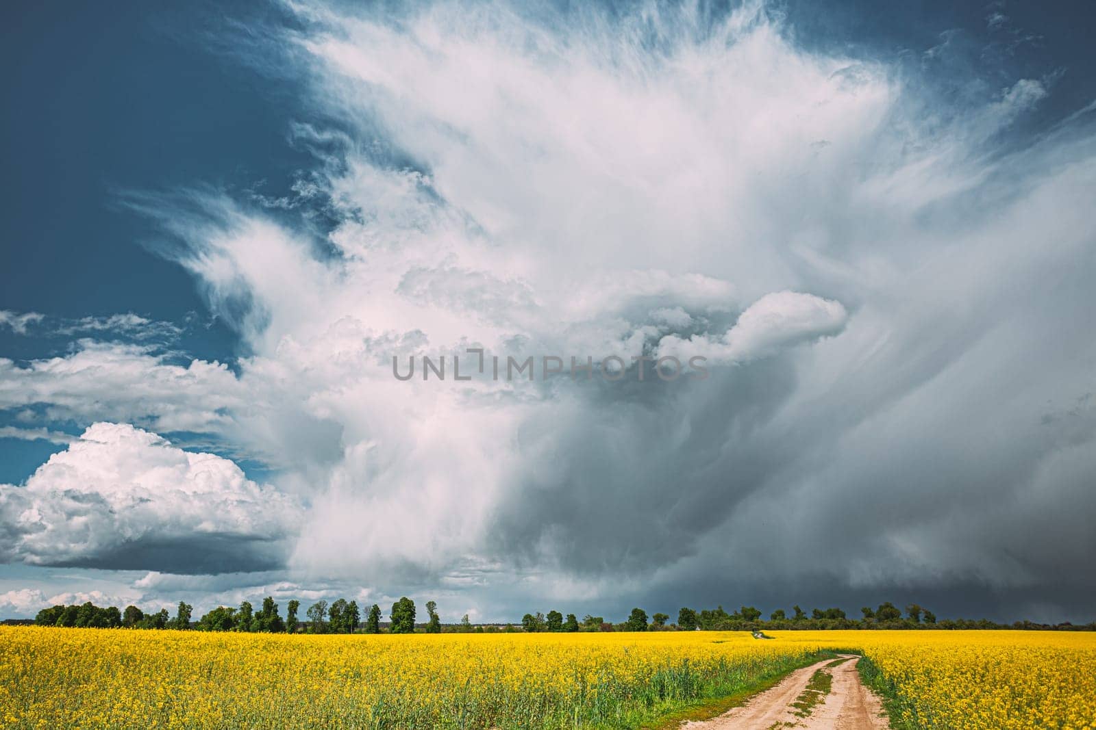 Dramatic Rain Sky With Rain Clouds On Horizon Above Rural Landscape Camola Colza Rapeseed Field. Country Road. Agricultural And Weather Forecast Concept.
