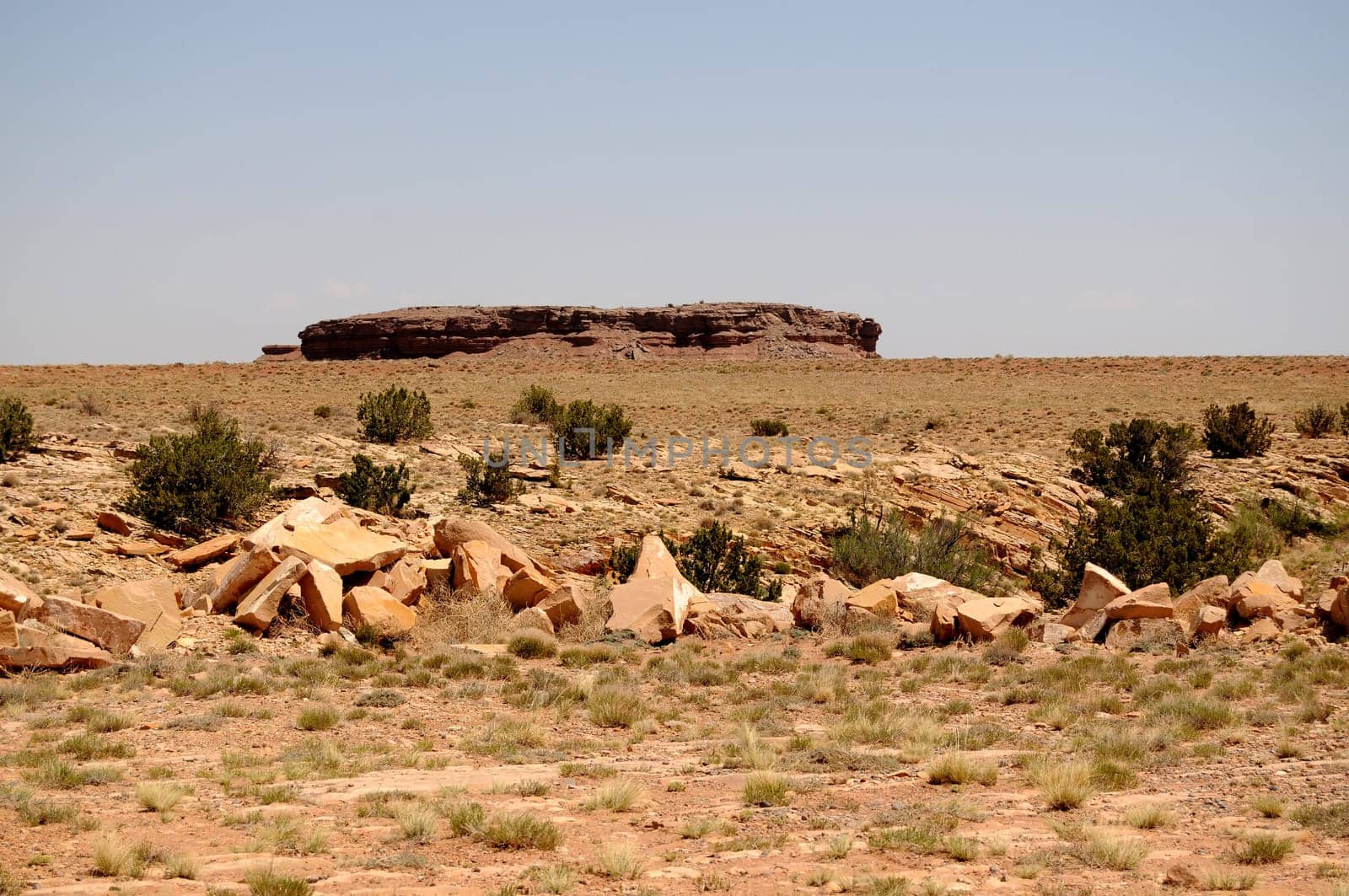 Scenic landscape mesa of the ancient petrified forest in Arizona