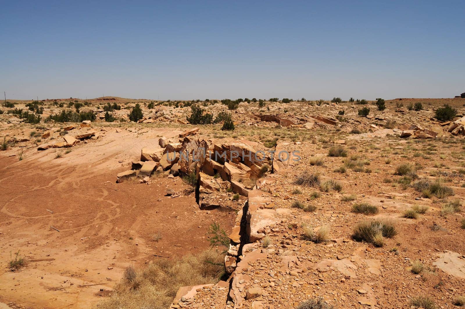 Scenic landscape of the ancient petrified forest in Arizona
