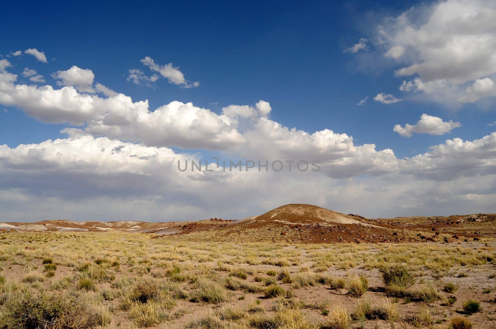 Scenic landscape of the ancient petrified forest in Arizona