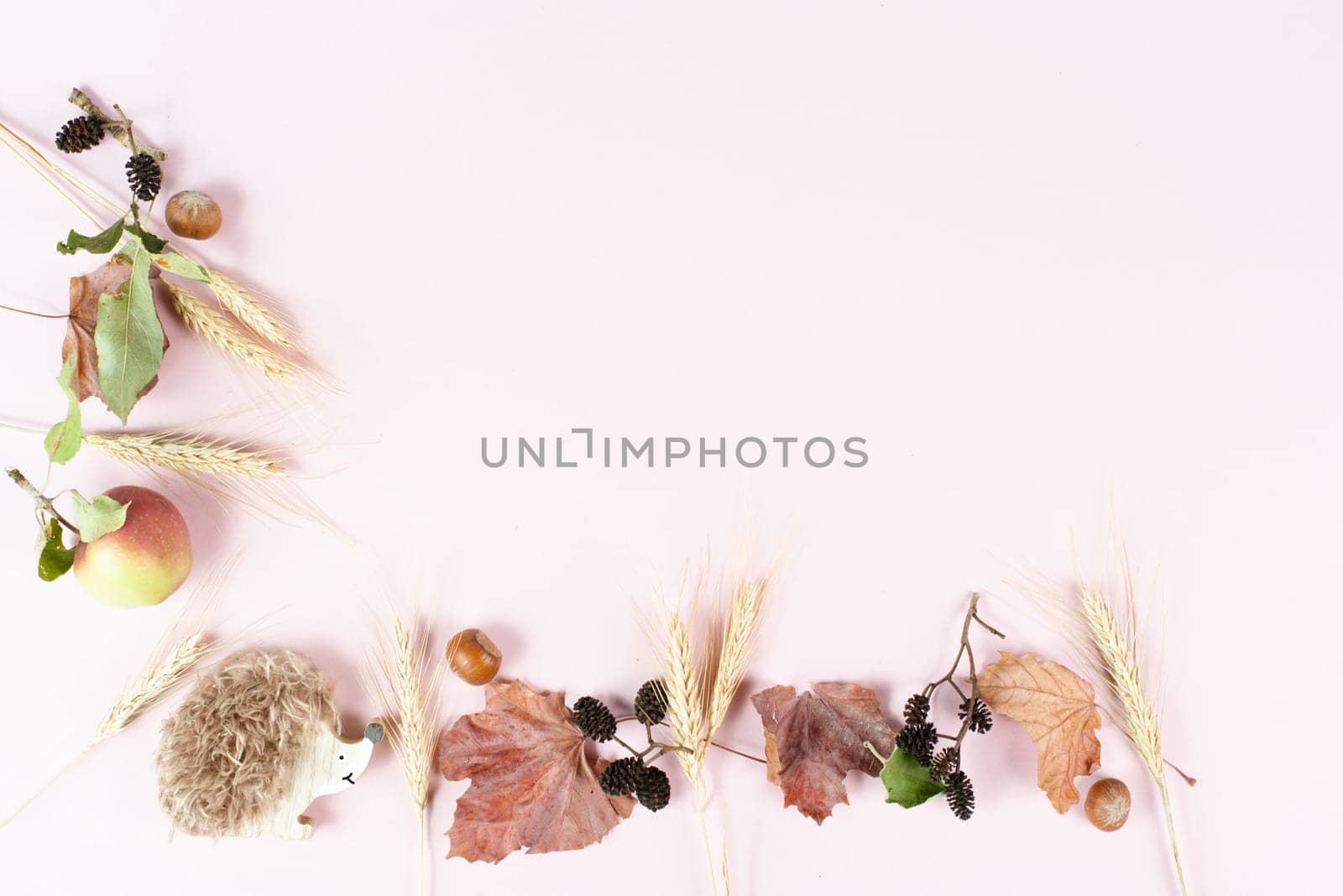 Autumn season background with copy space, template with colorful leaves, an apple and a hedgehog, pastel color