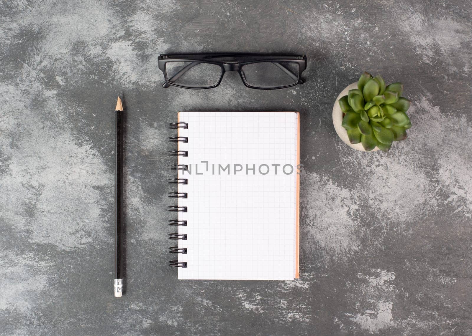 Empty notebook with a pen, eyeglasses and a cactus on a background, brainstorming for new ideas, writing a message, taking a break, home office desk