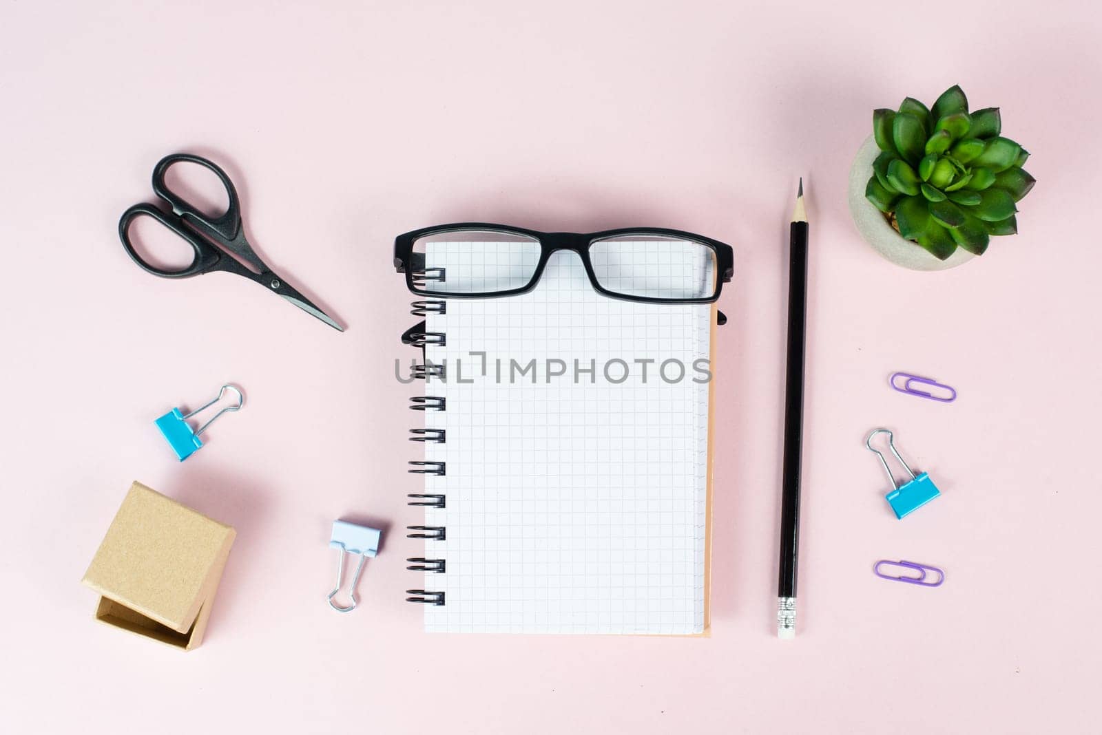 Empty notebook with a pen, eyeglasses and a cactus on a pastel colored desk, brainstorming for new ideas, writing a message, home office workplace