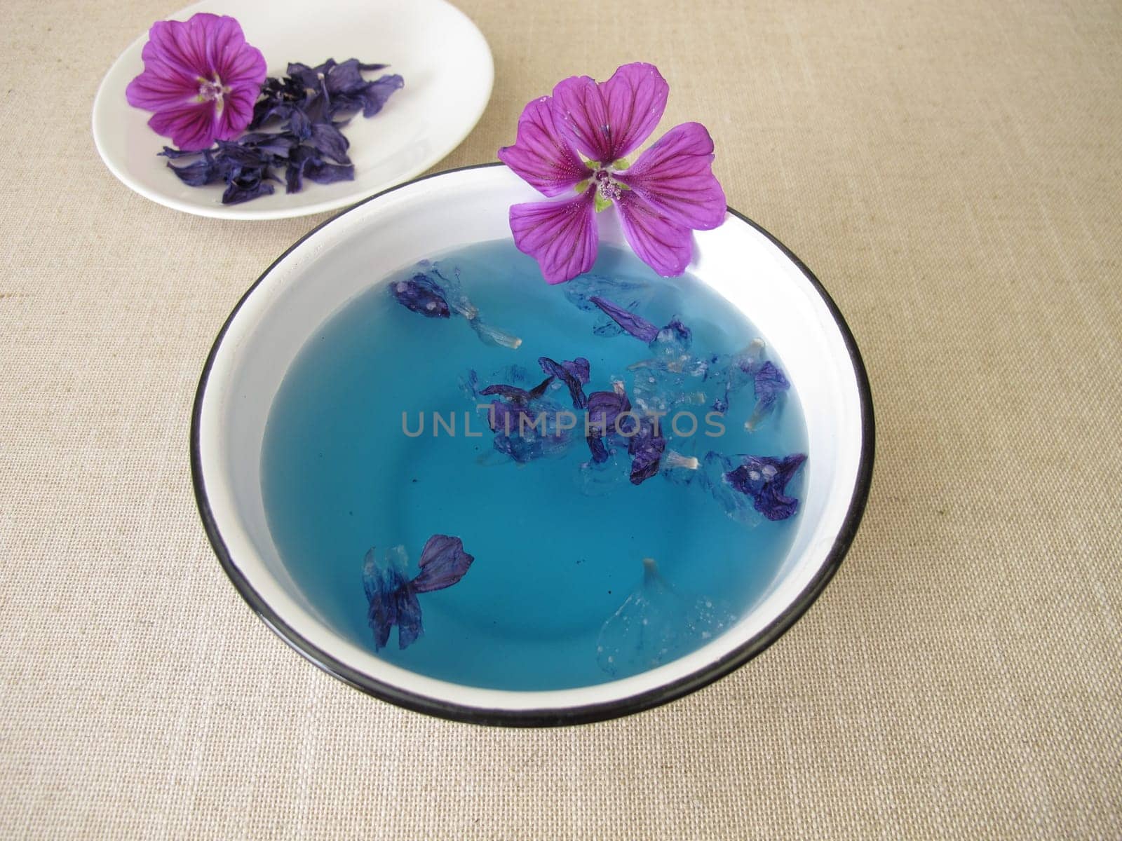 Blue dye bath with mallow flowers, blue plant color