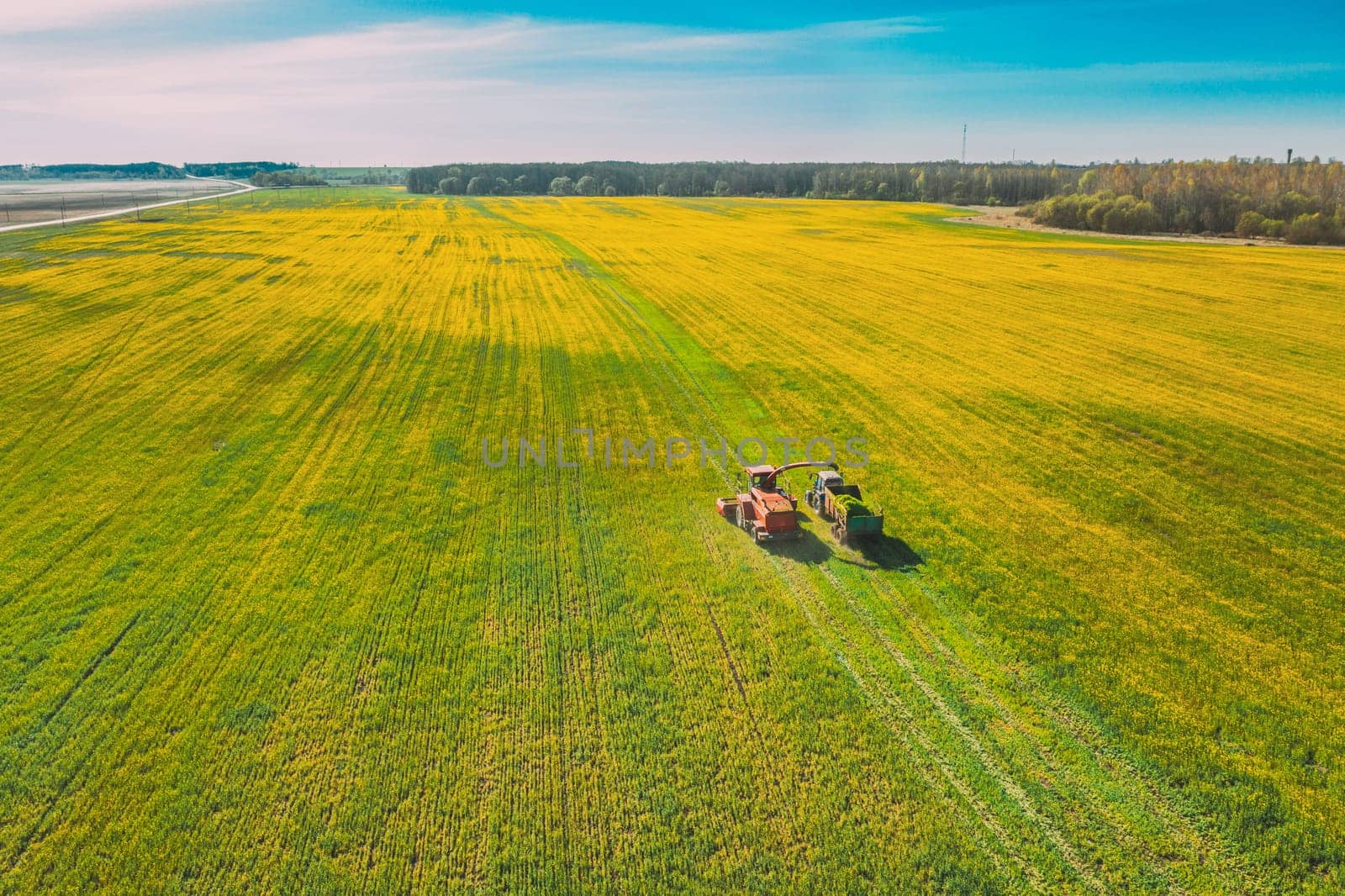 Aerial View Of Rural Landscape. Combine Harvester And Tractor Working Together In Field. Harvesting Of Oilseed In Spring Season. Agricultural Machines Collecting Blooming Rapeseeds Canola Colza. Elevated View.