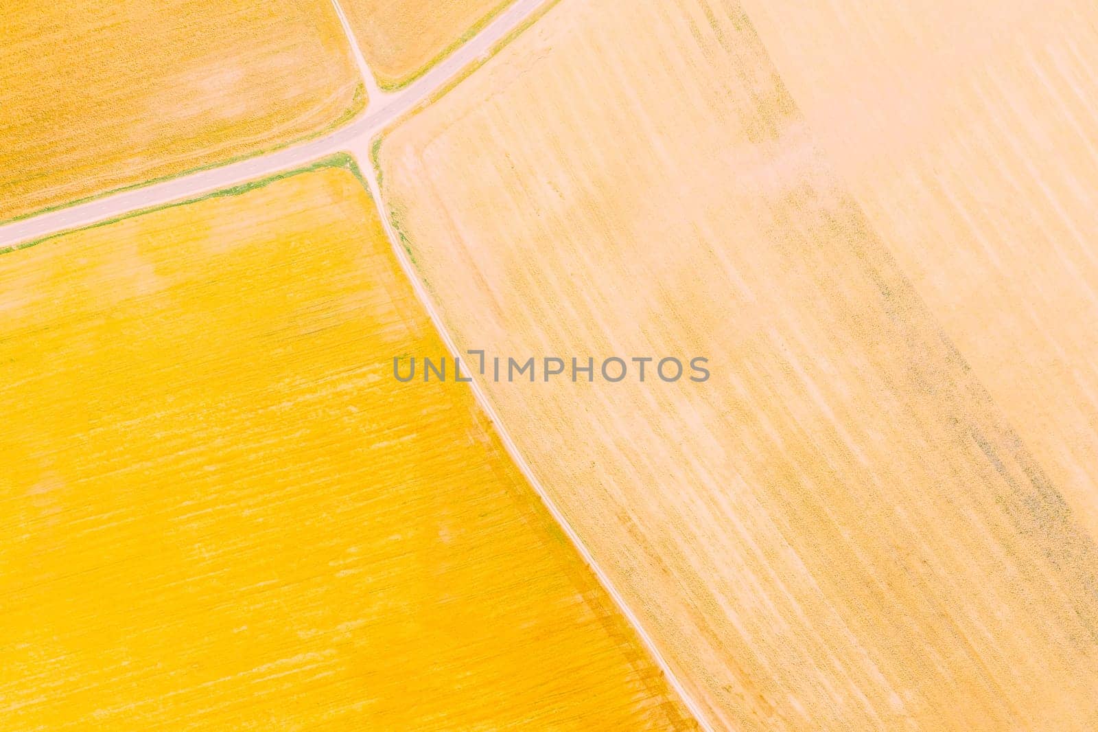 Multicolored Clusters Of Agricultural Fields Sown With Different Crops. Aerial View. Beginning Of Agricultural Spring Season. Countryside Rural Fields Landscape.