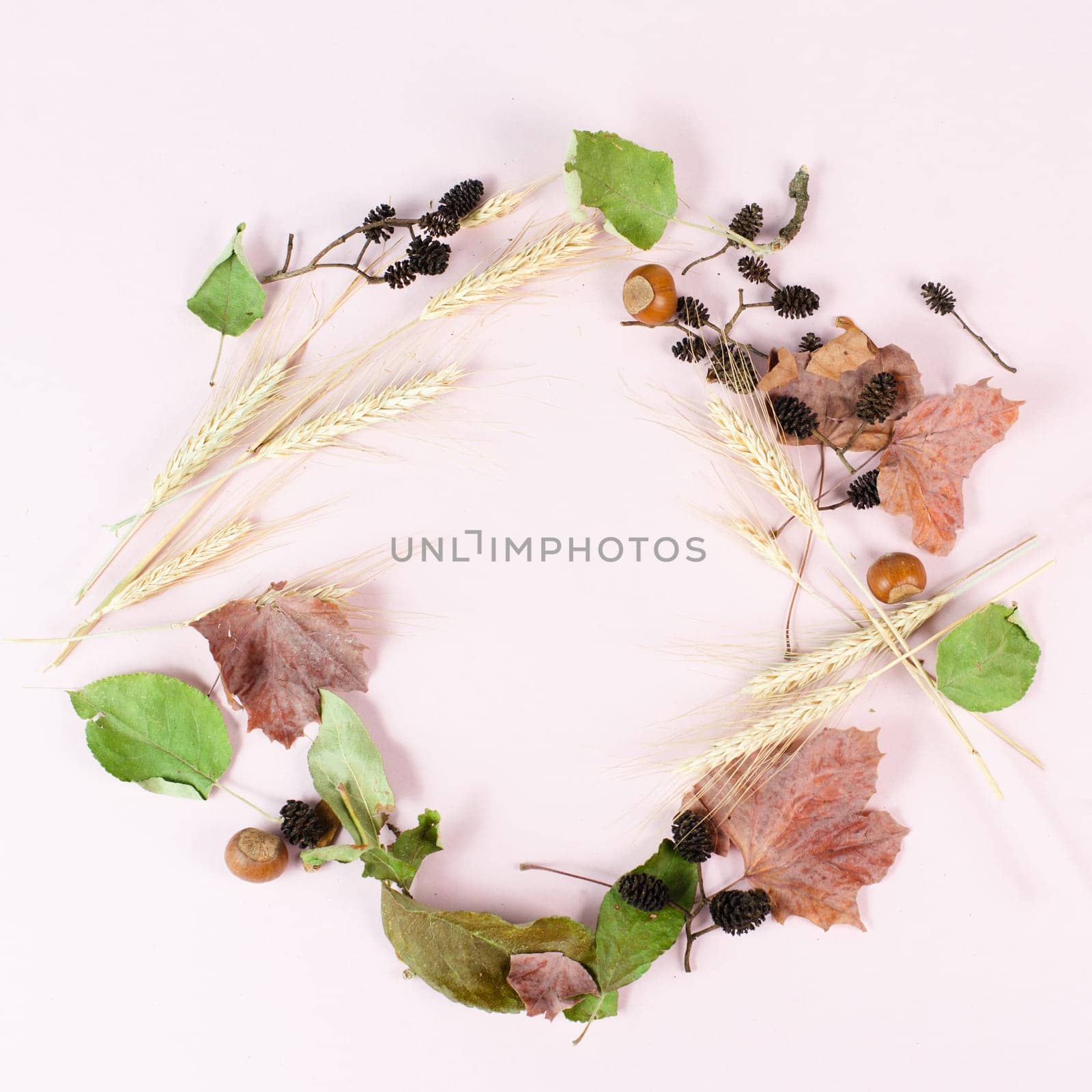 Autumn season background with copy space, template with colorful leaves building a circle, pastel colored greeting card