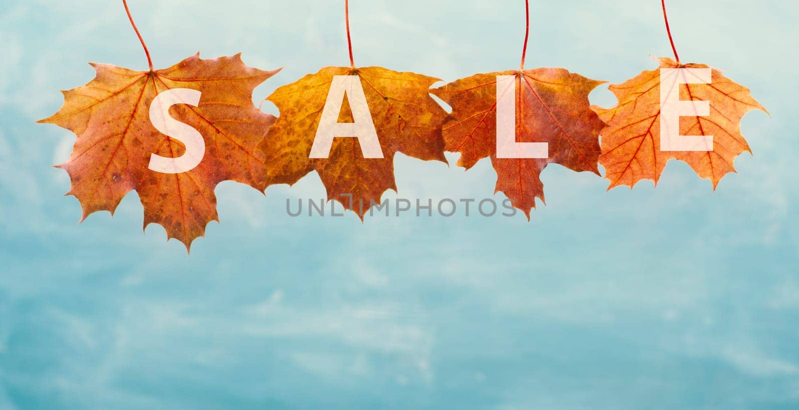 Autumn sale background with colorful leaves, discount tag, business promotion template, copy space for text