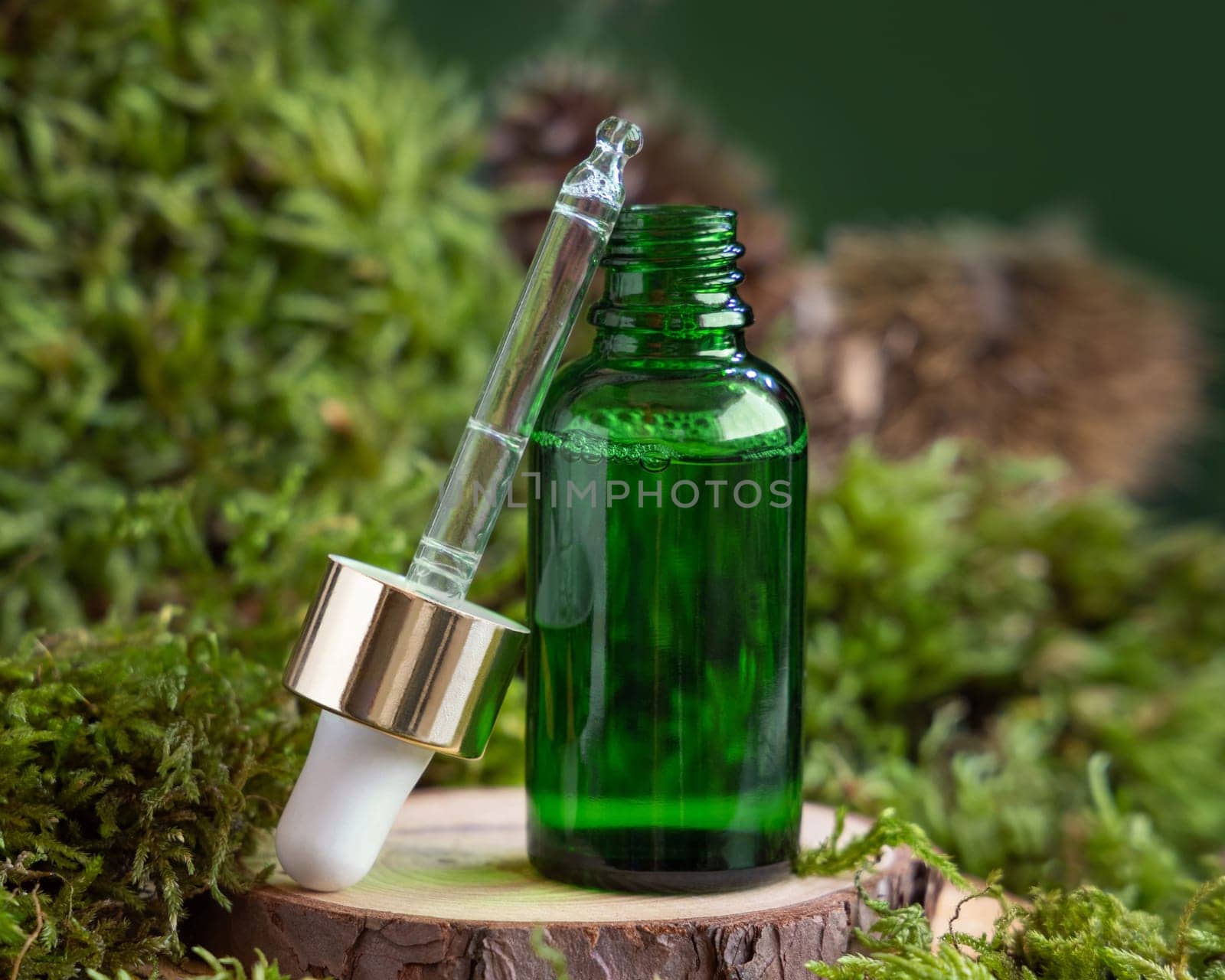 Opened green glass dropper bottle on wooden piece between green moss, closeup, mockup. Skincare beauty product package. Natural Organic Cosmetic concept