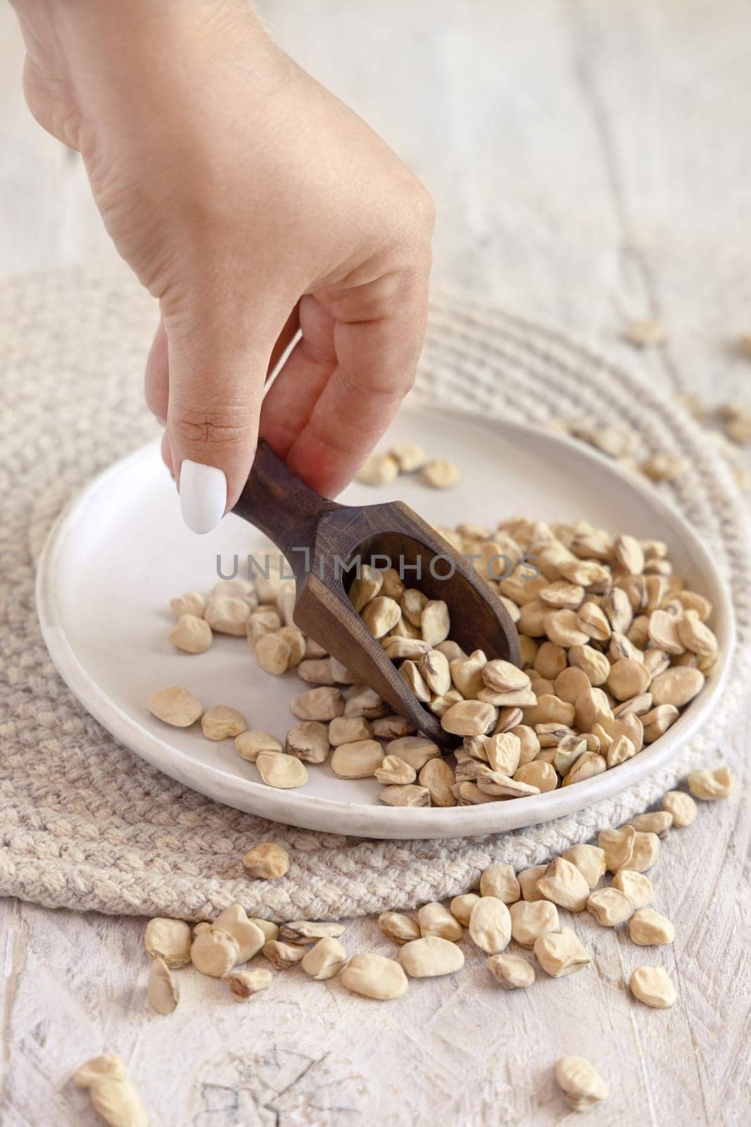 Hand with a scoop of raw dry Grass pea close up on wood. Healthy, protein source for vegan and vegetarian diet. Traditional Italian apulian cuisine ingredient. Legumes known as Cicerchia, Vetch, Blue Sweet Pea