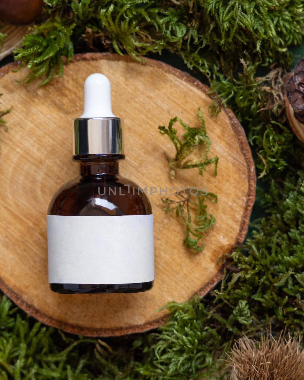 Brown glass dropper bottle with blank label on wooden piece between green moss, top view, mockup. Skincare beauty product package. Natural Organic Cosmetic concept