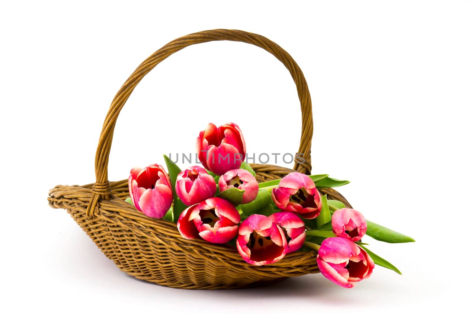 red tulips in a basket on white background