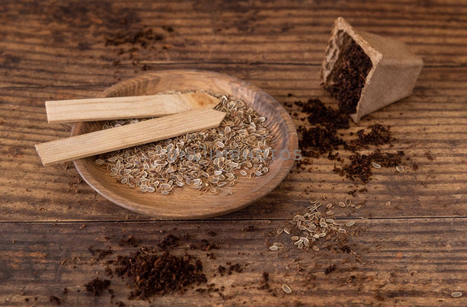 Dill Herbs seeds and biodegradable pot on wooden table close up. Urban Indoor gardening, homegrown plants, germination at home