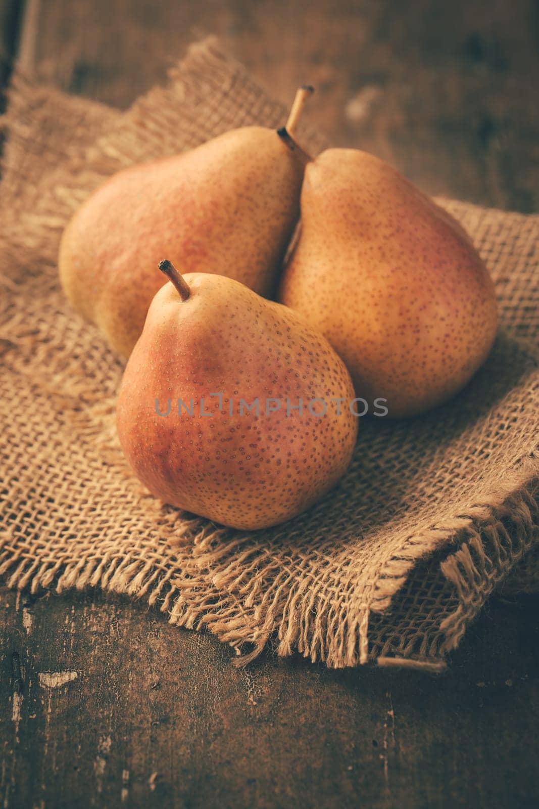 Fresh ripe pears on wooden table in vintage style. Autumn harvest.