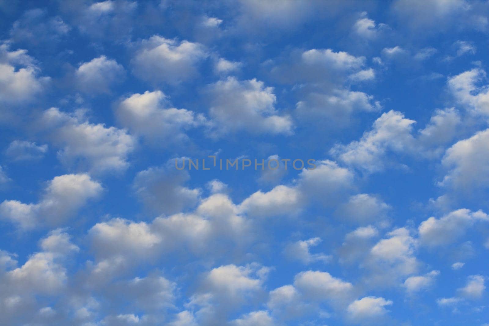 Big fluffy clouds (altocumulus) with beautiful blue skies .Große Schäfchenwolken (Altocumulus) mit schönem blauem Himmel.