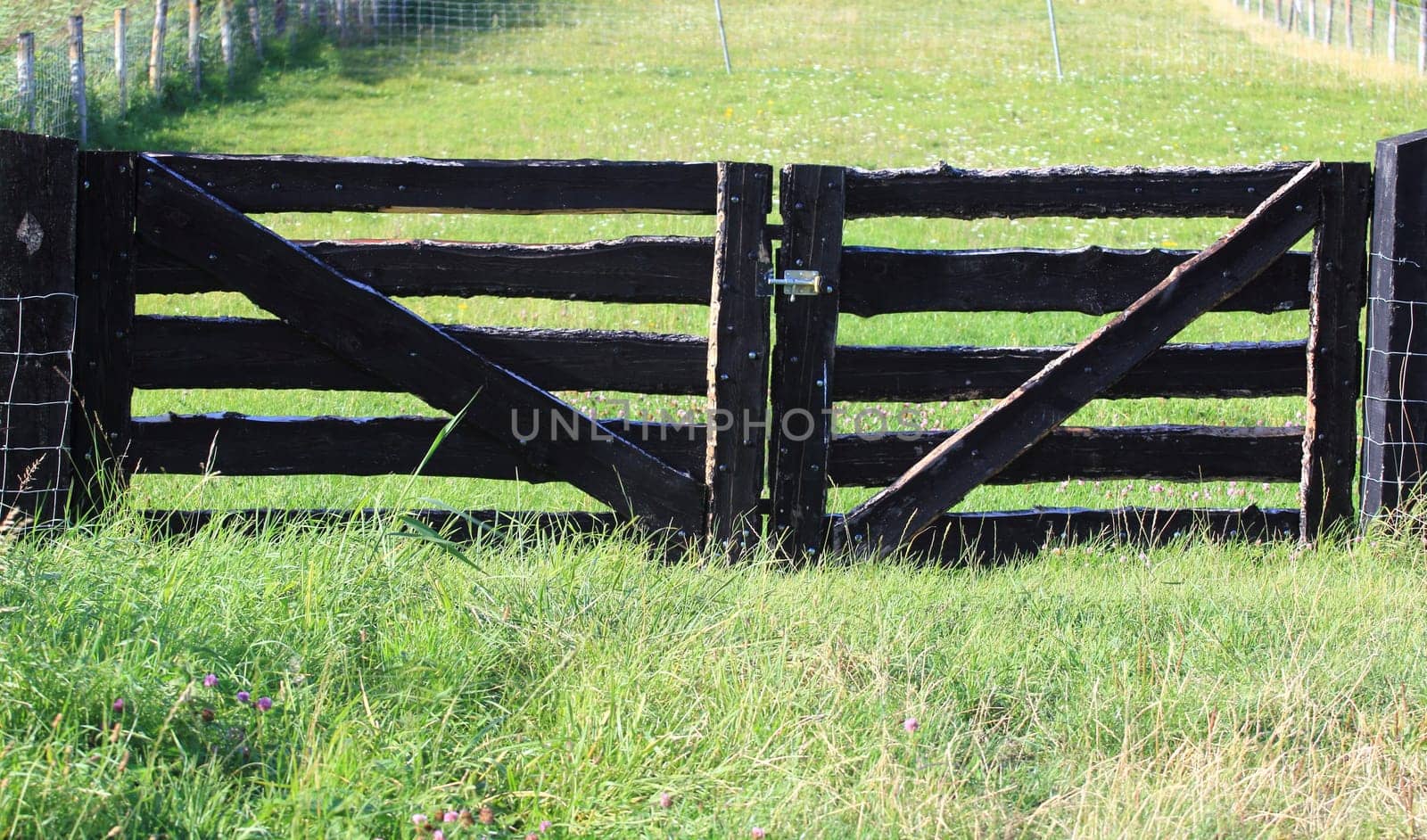 Wooden gate of a pasture, green meadow in the background.Hölzernes Tor einer Viehweide, grüne Wiese im Hintergrund.