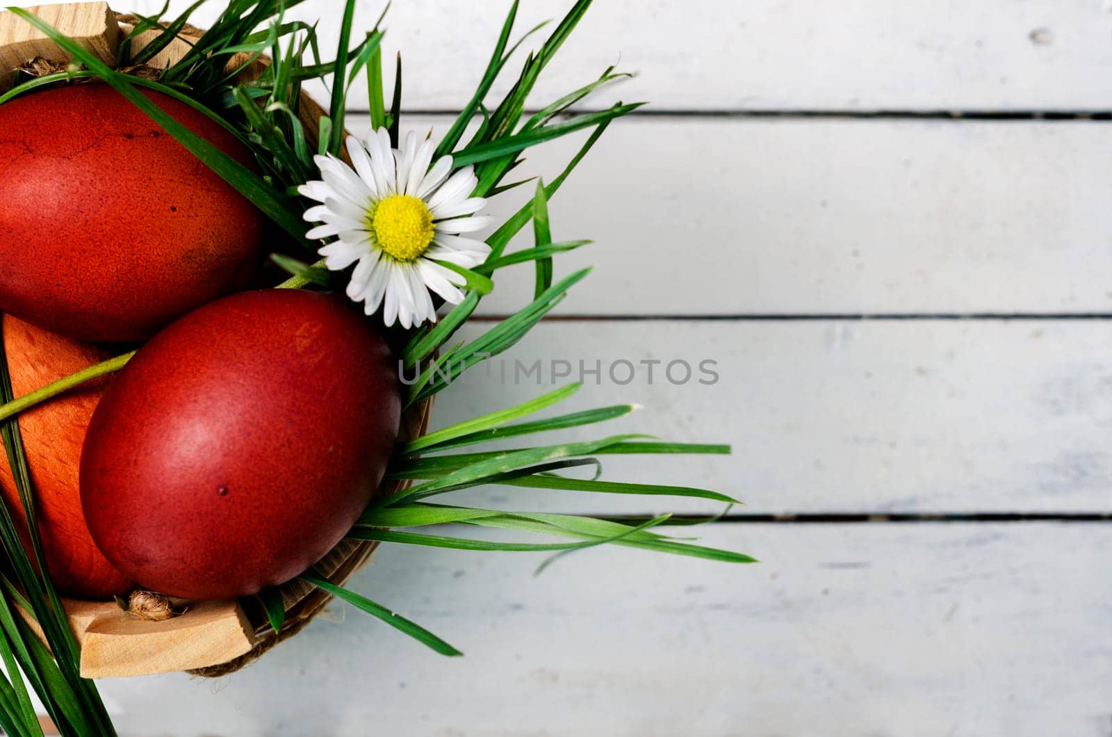 Top view of colored red easter eggs in basket with green grass and daisy flower on wooden white table with copyspace.